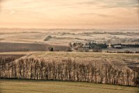 60 - MATIN D'HIVER - BOUTOLLEAU MONIQUE - france <div